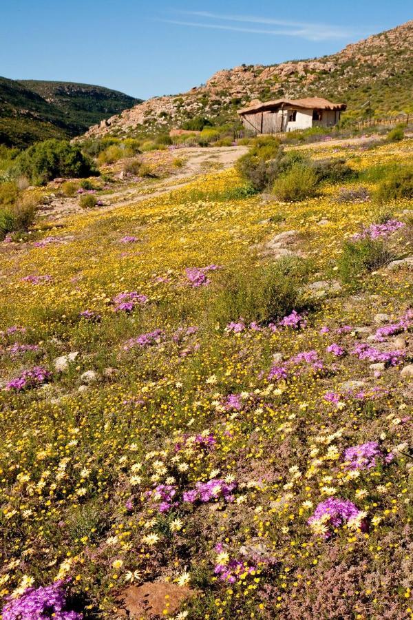 Oudrif Strawbale Retreat Villa Clanwilliam Exterior foto