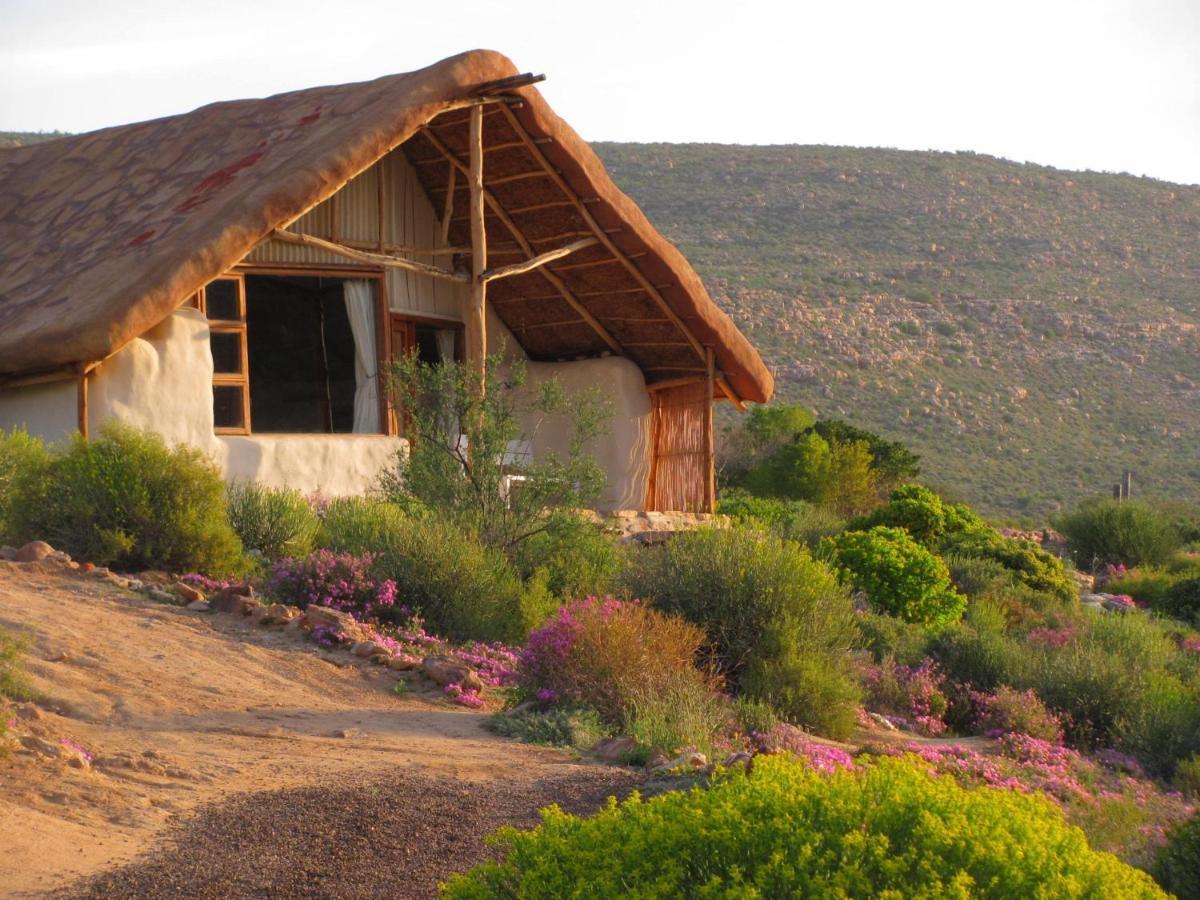 Oudrif Strawbale Retreat Villa Clanwilliam Exterior foto