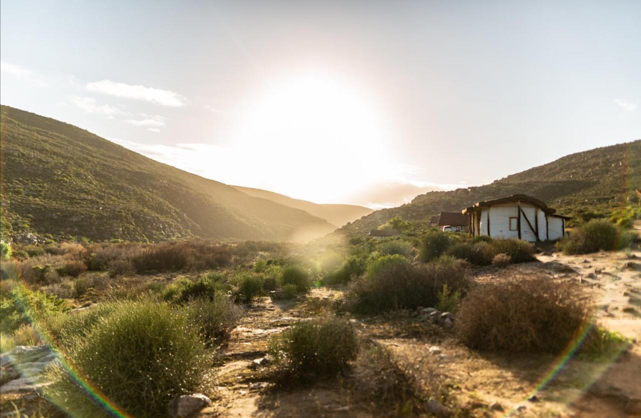 Oudrif Strawbale Retreat Villa Clanwilliam Exterior foto