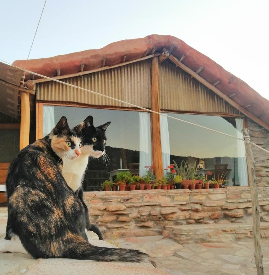 Oudrif Strawbale Retreat Villa Clanwilliam Exterior foto